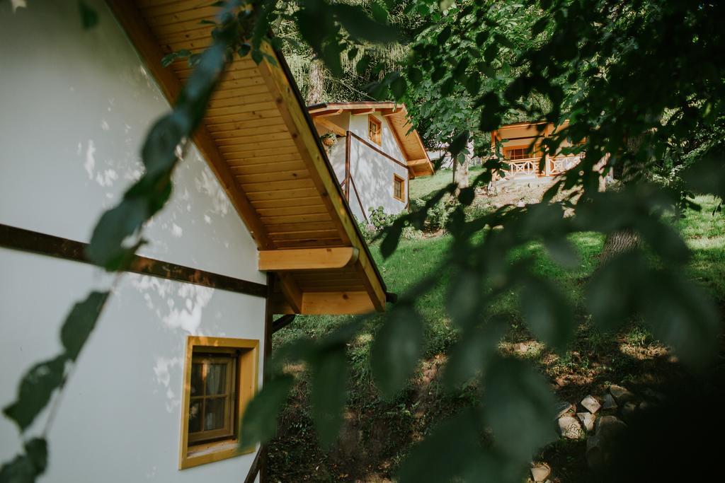 Cosama Village Sighişoara Extérieur photo